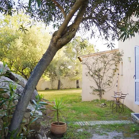 Santa Reparata Di Balagna * L'Ile-Rousse (Corsica)